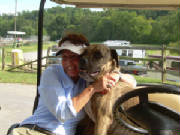 2009Pics/MLStevieWEB.jpg