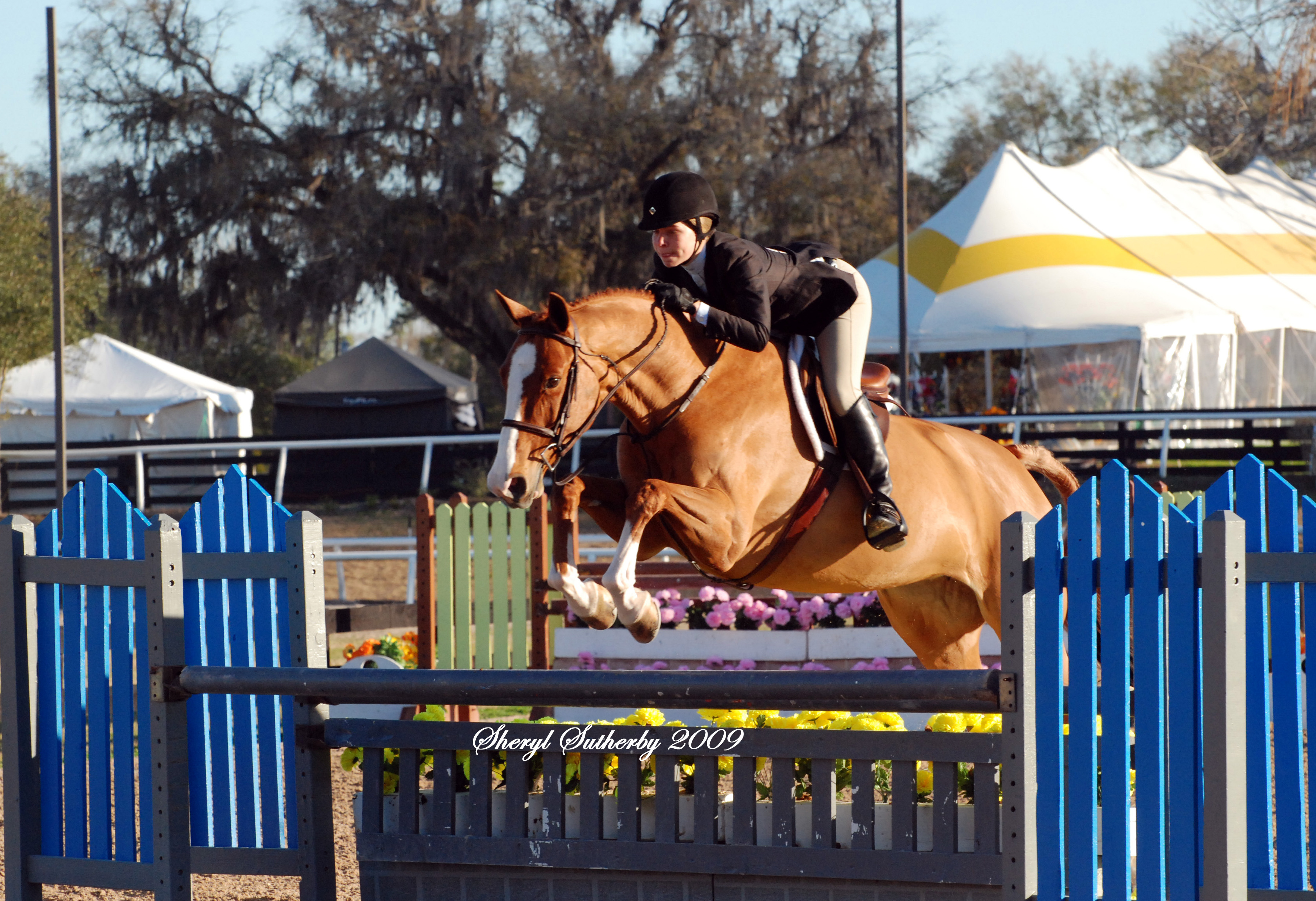 JumpingPics/CaliOcala1.jpg