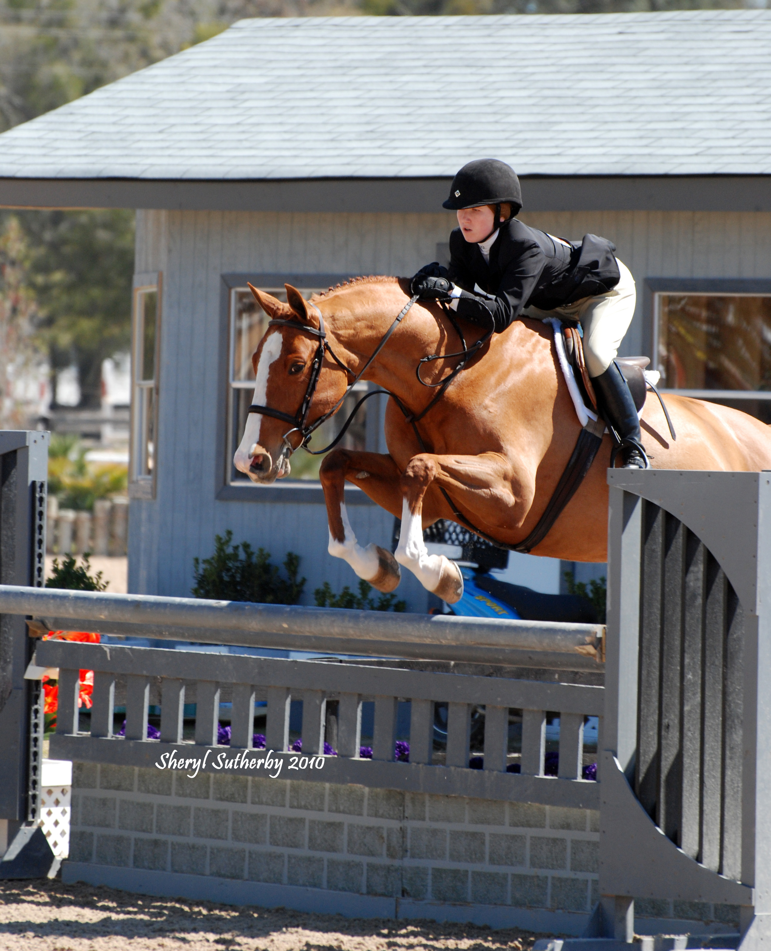 JumpingPics/CaliOcala2WEB.jpg