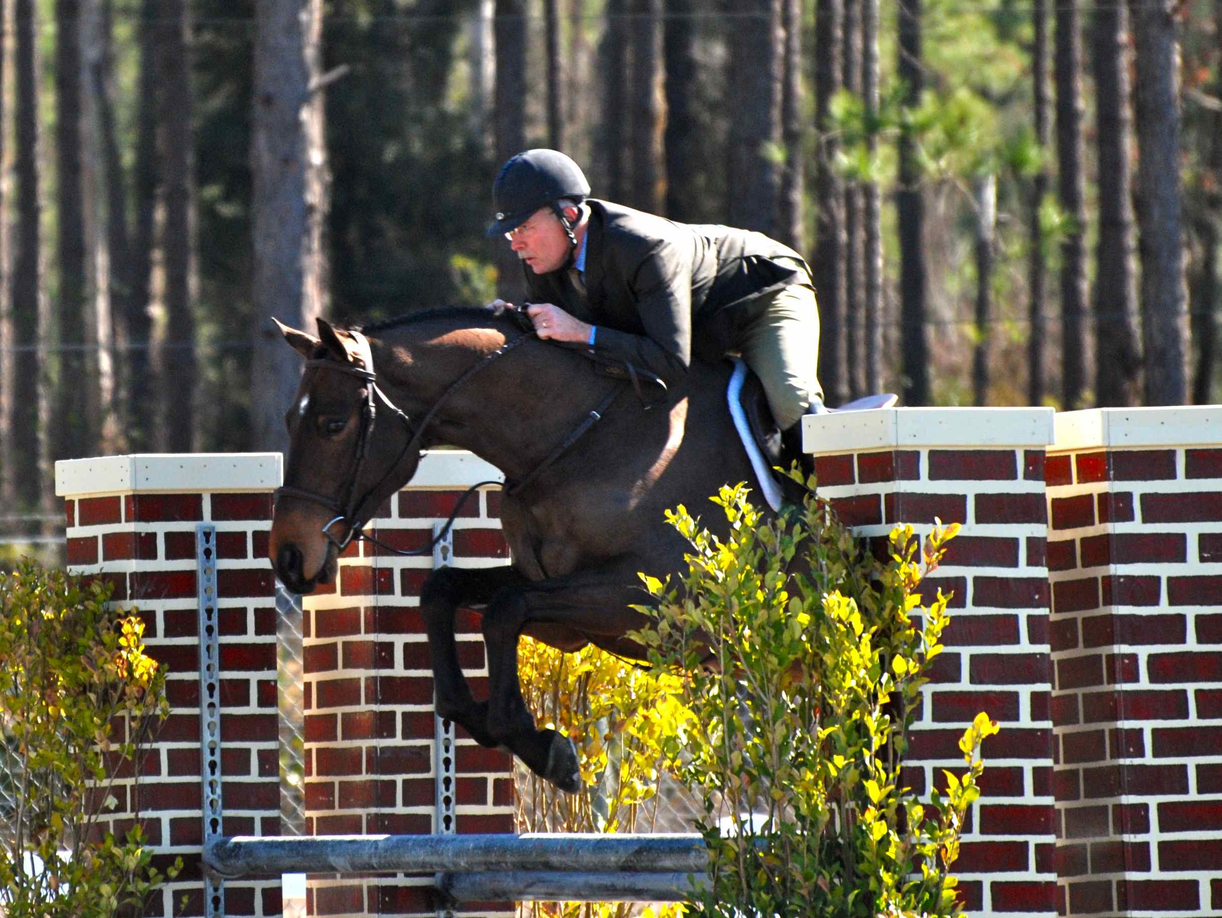 JumpingPics/EllwoodJax2011.jpg