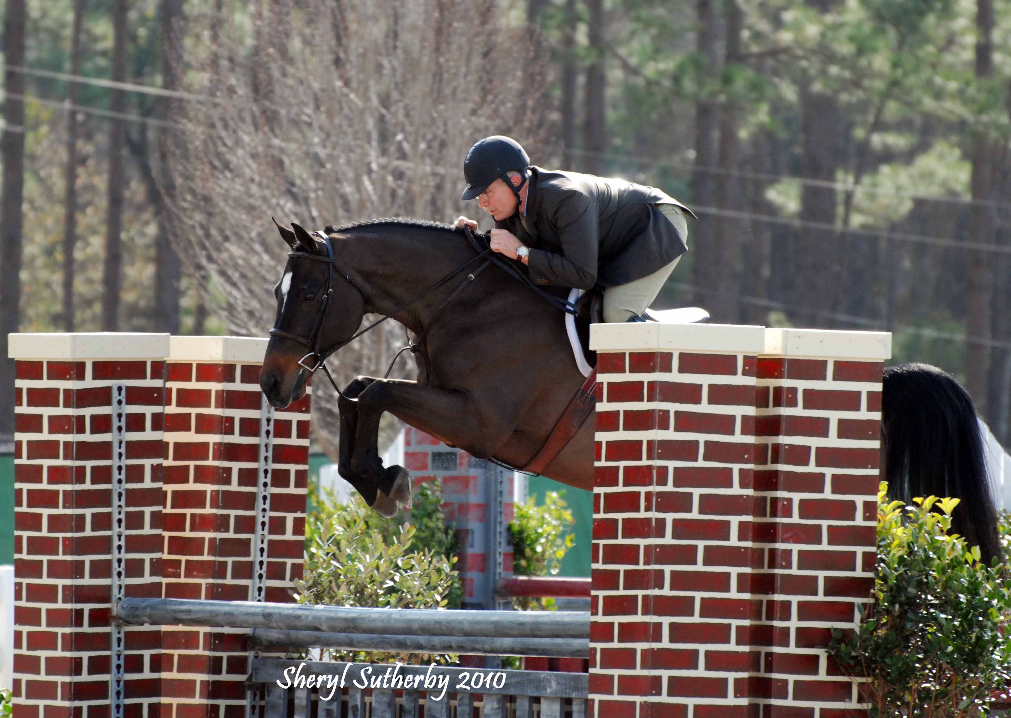 JumpingPics/PantherJax2WEB.jpg
