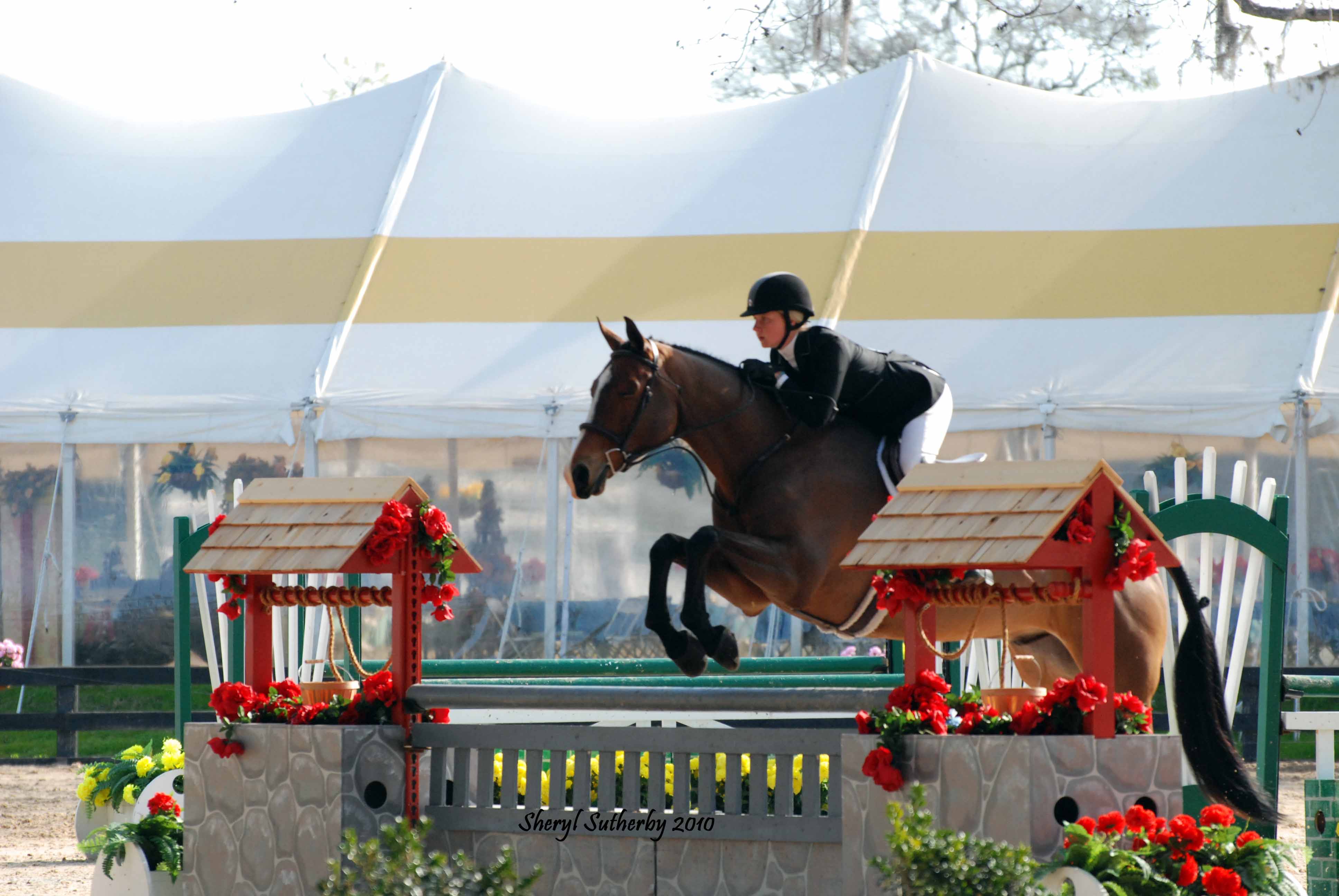 JumpingPics/SenecaOcala1WEB.jpg