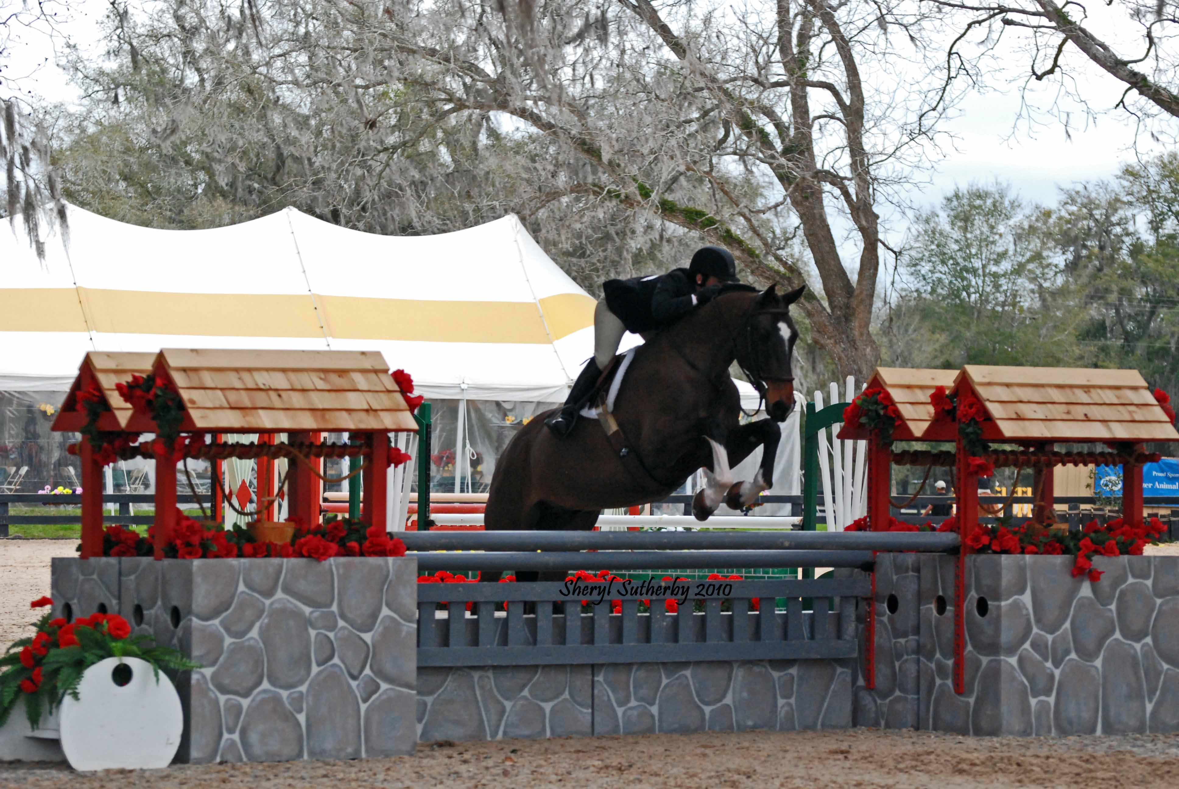 JumpingPics/SunnyMaryOcala3WEB.jpg