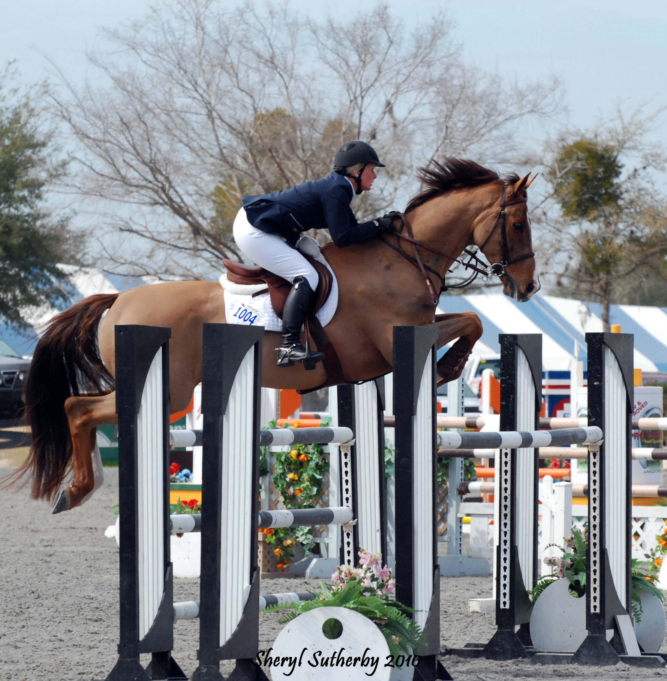 JumpingPics/VinnieOcala7WEB.jpg