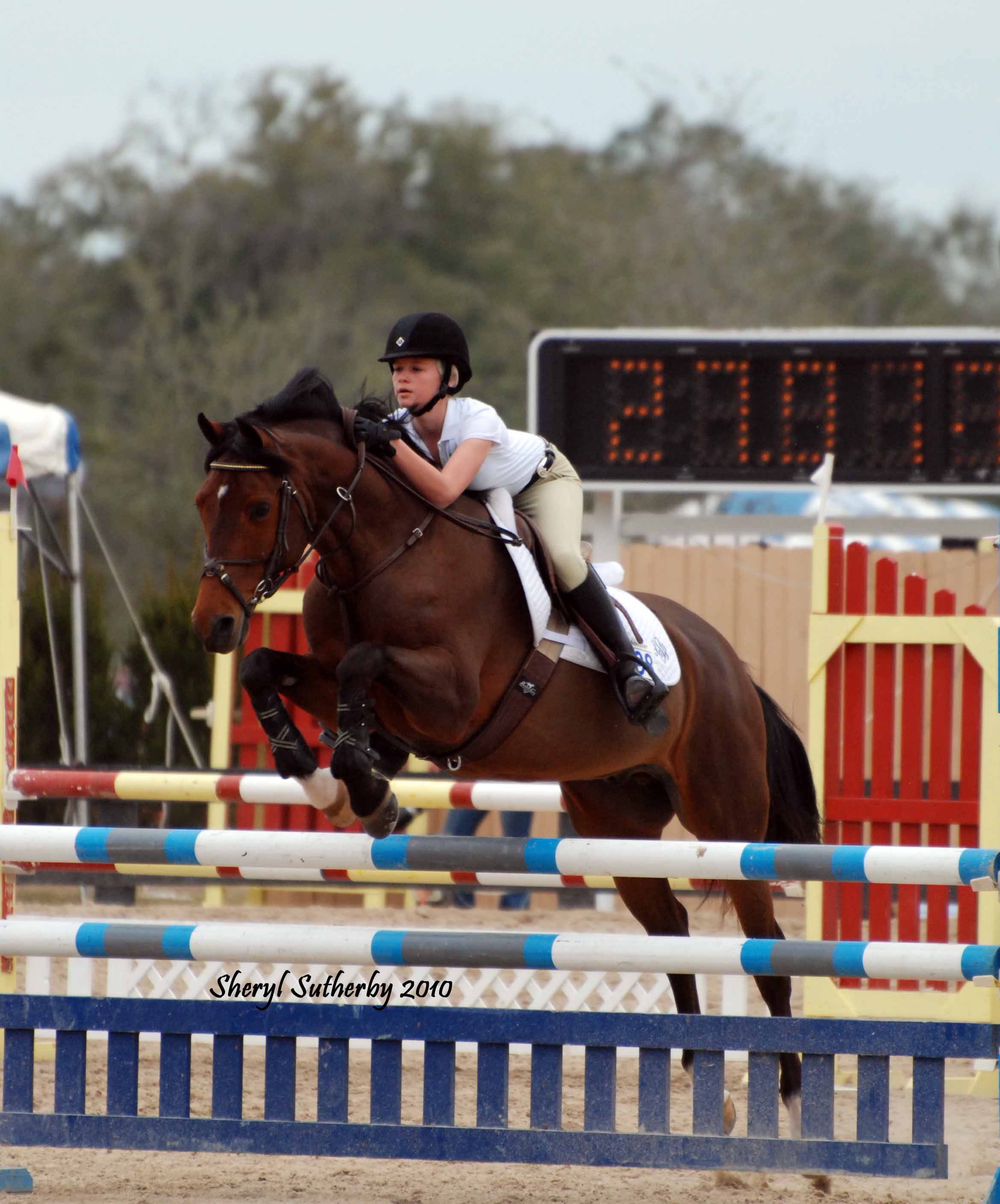 JumpingPics/WillieOcala3WEB.jpg