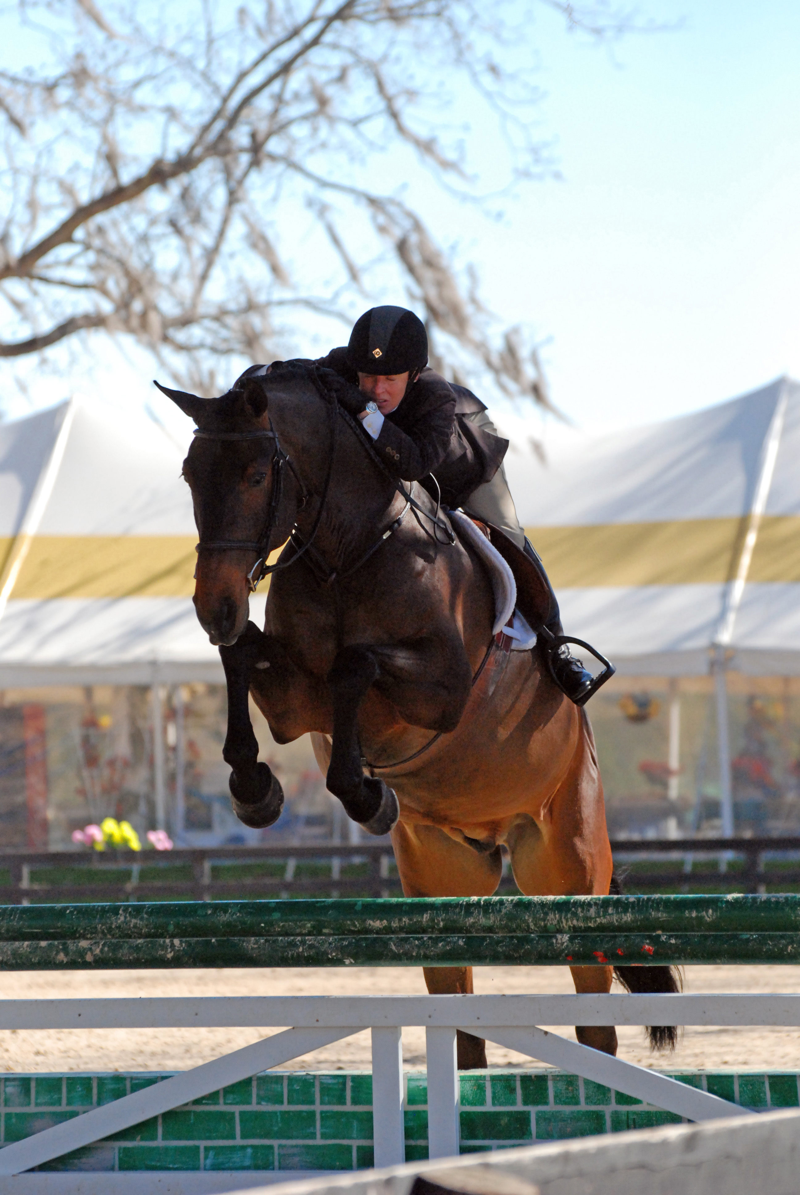JumpingPics/zOcala12WEB.jpg