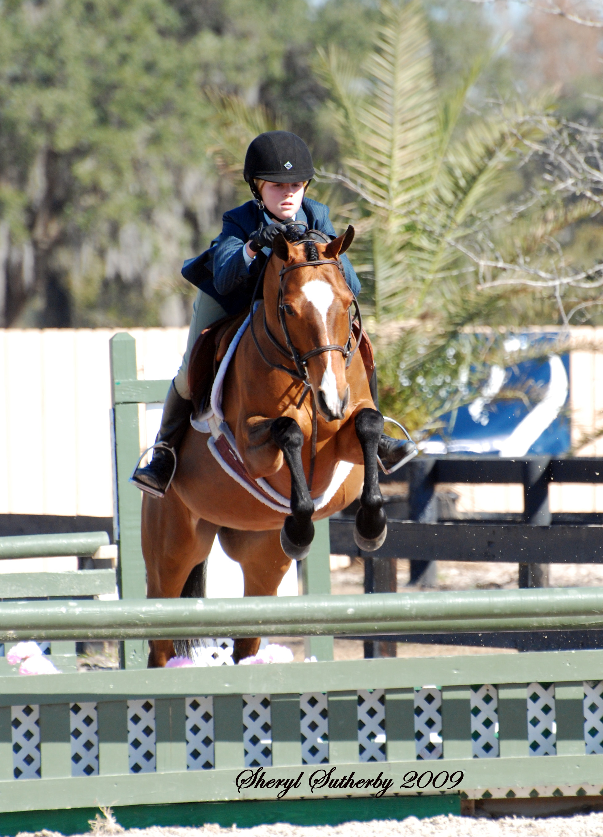 Ocala2009/DinaOcala3.jpg