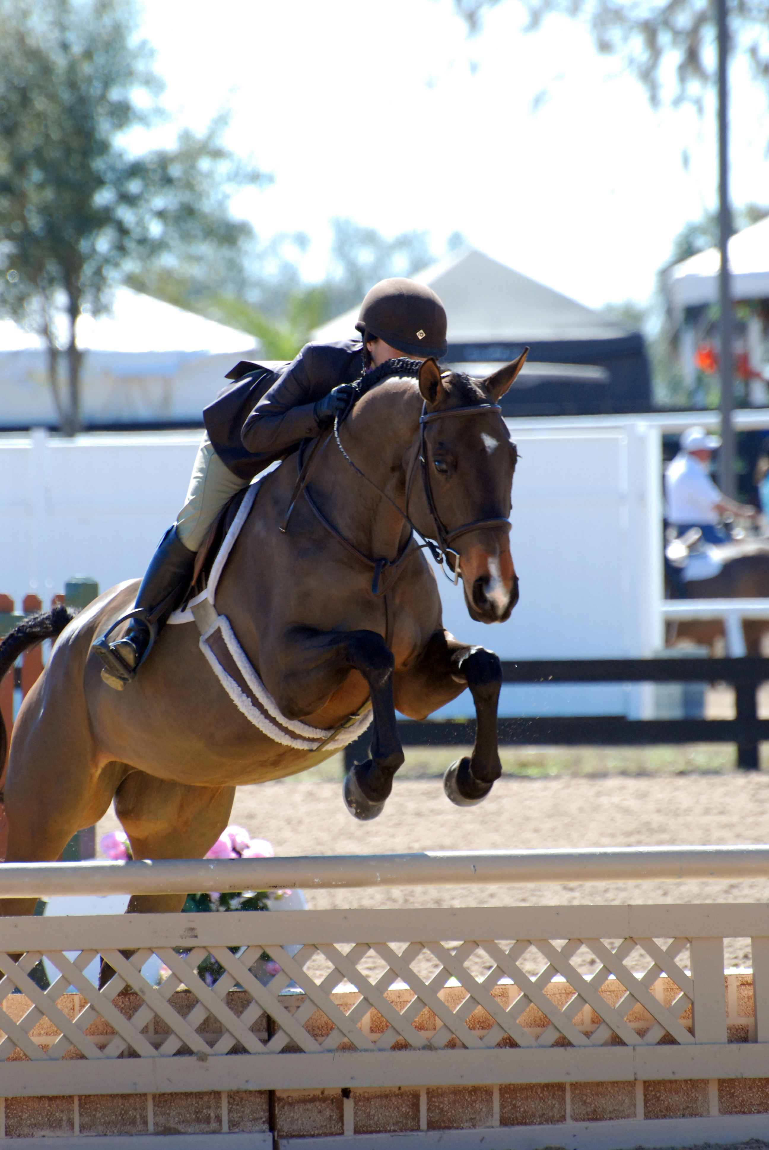 Ocala2009/GrafittiJayne1.jpg