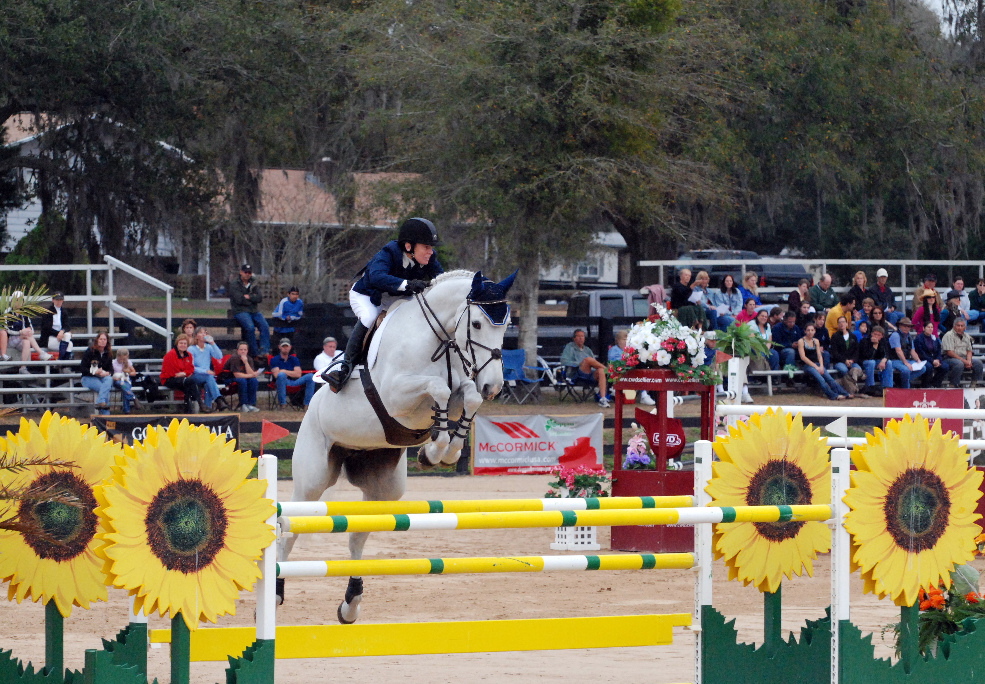 Ocala2009/Ocala1.jpg