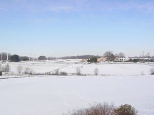 RollingAcresFarm/barn_landscape_rollling_acres.JPG