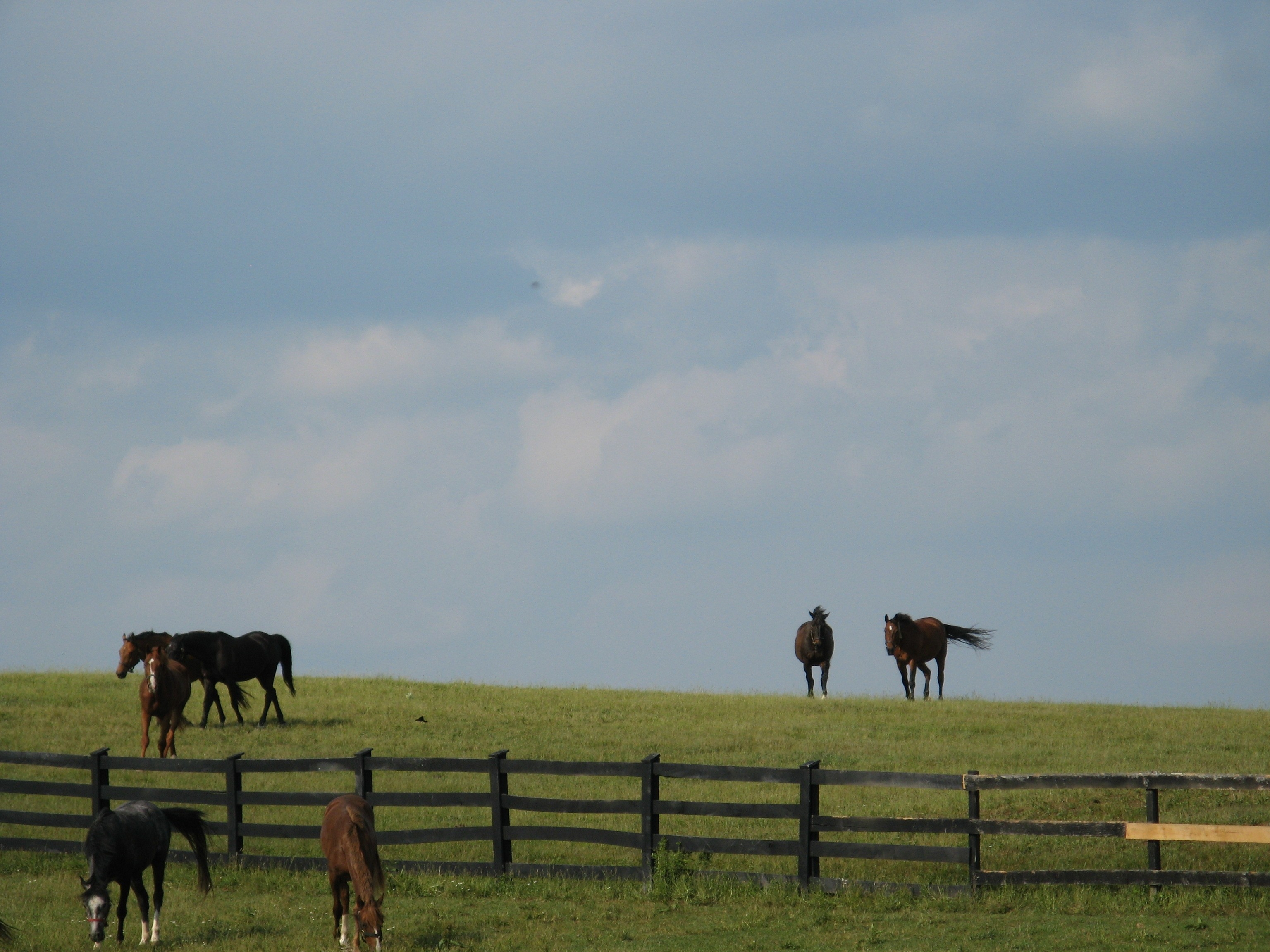 RollingAcresFarm/barn_landscape_rollling_acres.JPG