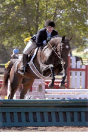 SaleHorses/Duplo.JPG