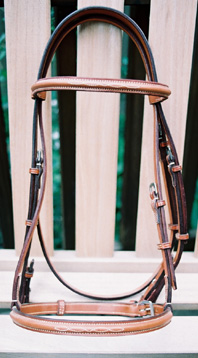 misc/EdgewoodOriginalBridle1.jpg